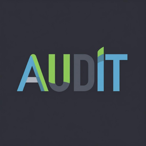 audit